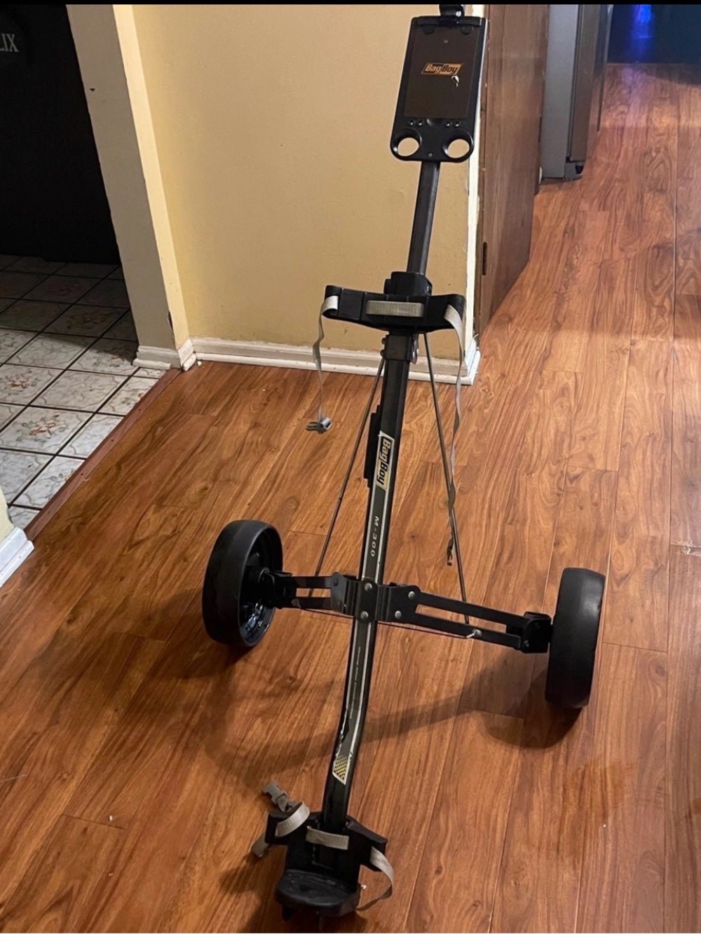Bag Boy M-300 push & pull 2 wheel Golf bag cart caddy in good condition.